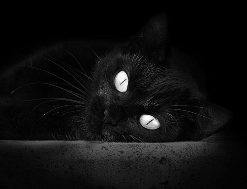 战队战术风格多样化，战术队形有哪些