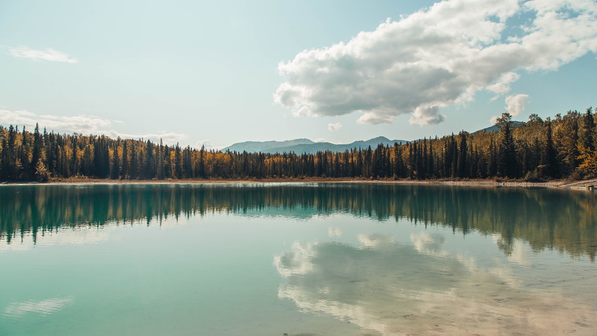 爱游戏娱乐-皇马主场3-0战胜贝蒂斯，进攻端表现出色，皇马0-0贝蒂斯