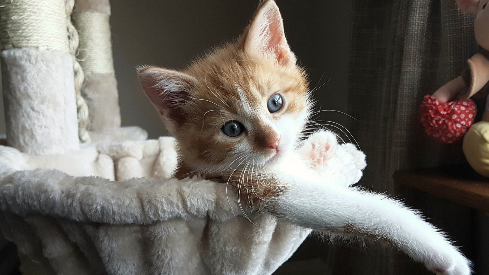 贾斯丁砍下高分,江苏苏宁实现大逆转,苏宁贾森身价