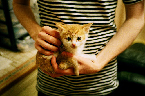 爱游戏综合娱乐-雷霆逆转鹈鹕，亚历山大最后一分钟独得10分，亚历山大33分雷霆险胜公牛