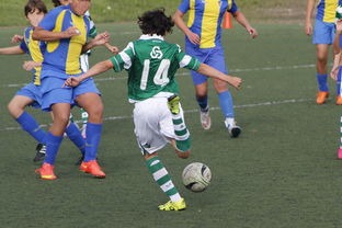 爱游戏电竞-中国足球外援依赖度趋势分析，中国足球外援依赖度趋势分析图