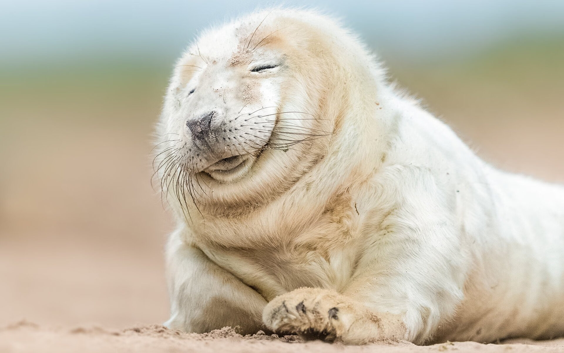 英超裁判基于语义分析技术提升比赛判罚一致性研究,英超裁判有哪些