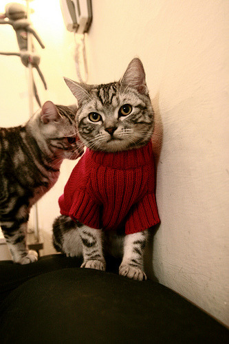 五大联赛比赛中是否越来越多采用双边路突破战术,双边路体系