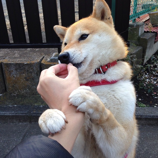 全民健身活动联动社区节庆形成运动节日,社区全民健身日活动方案