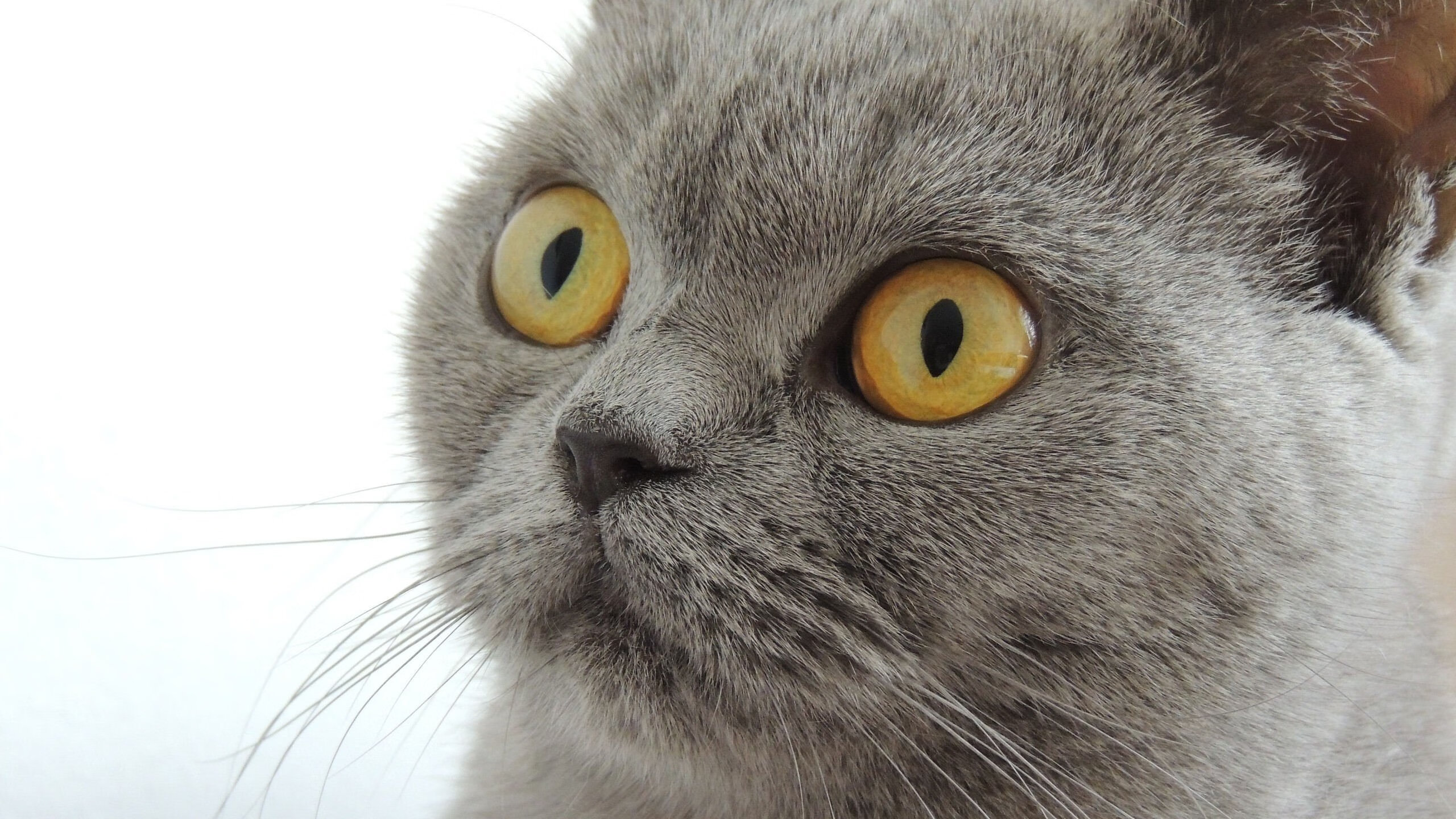 压迫式防守如何制造对手失误,足球比赛压迫式防守特点