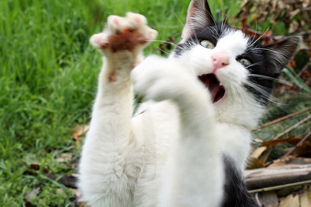 国际热身赛U23国足冲击 技术能力获关注,u22热身赛