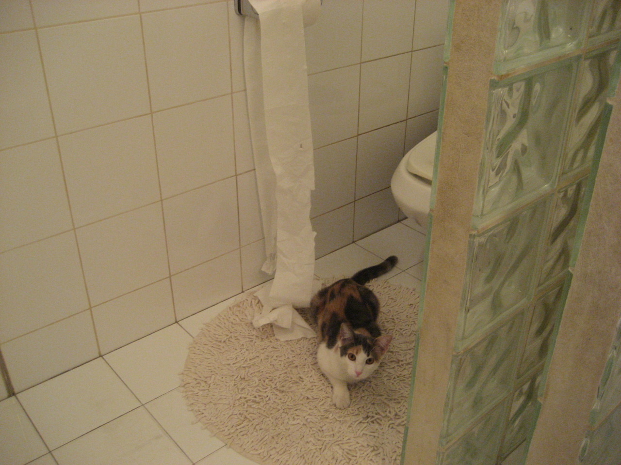 -德雷塞尔接力首棒打下坚实基础，德雷塞尔最好成绩