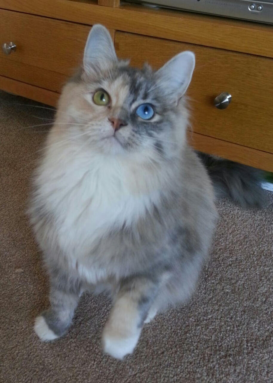 AYX GAMING-新赛季球队战术调整成效明显，新赛季篮球