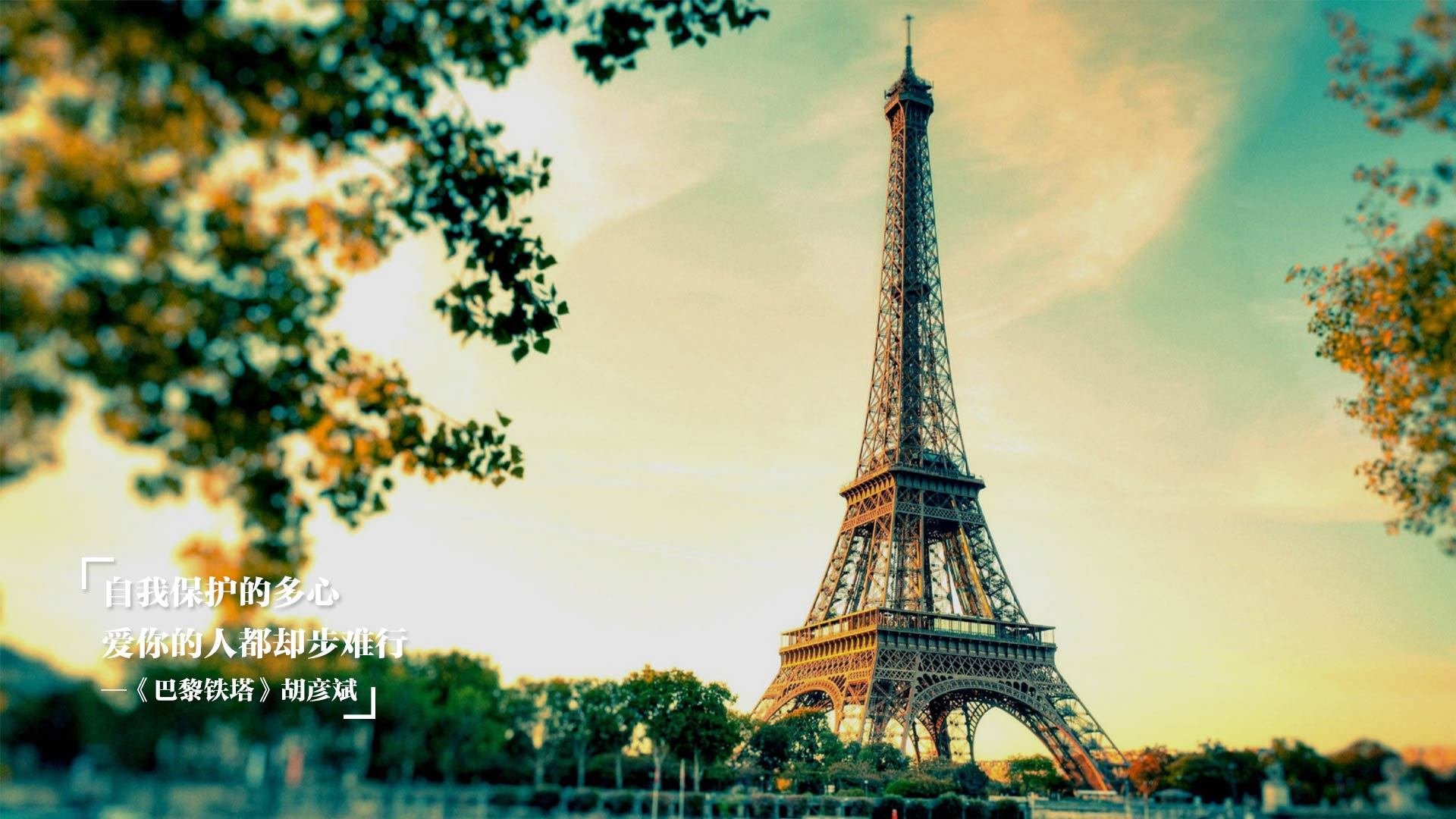 “安赫尔·巴尔博萨的攻击突破与团队协作,为美洲狮队提供更多进攻空间”