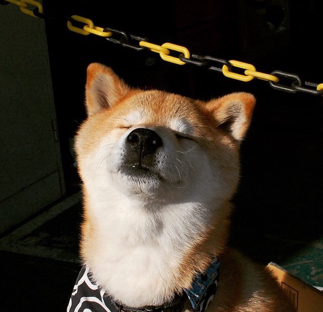 俱乐部引入新管理系统提升后勤保障和训练安排智能化水平,俱乐部运行具体方案