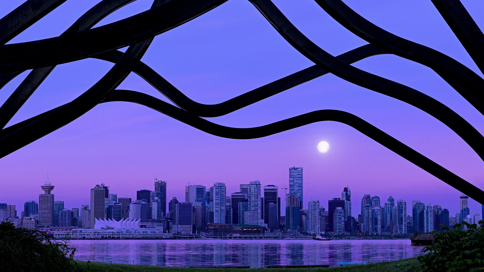 公牛推出家庭观赛套餐吸引亲子粉丝入场,公牛常规赛