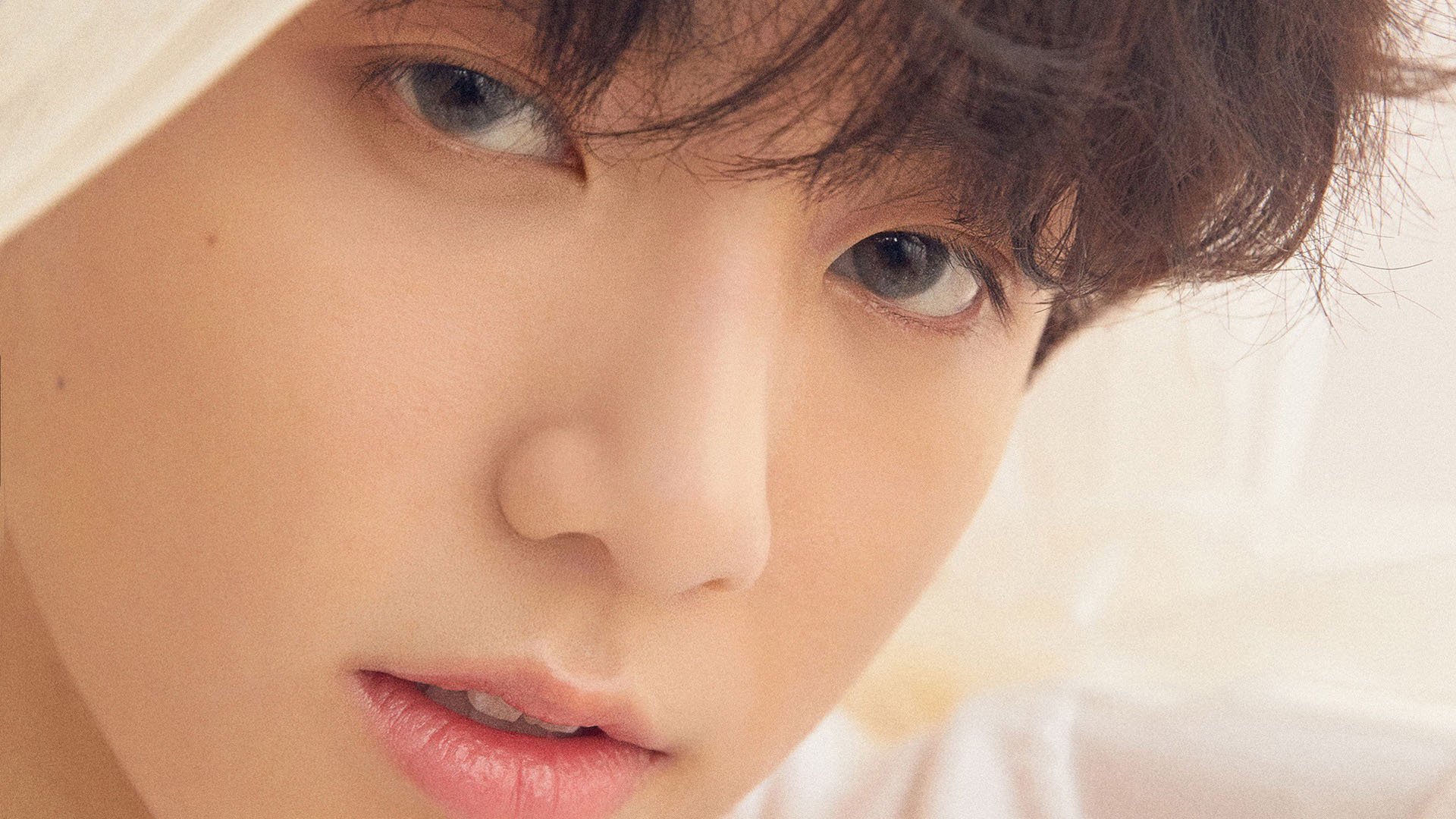 帕利斯特决赛冲刺阶段表现抢眼,帕特里涅利百度百科