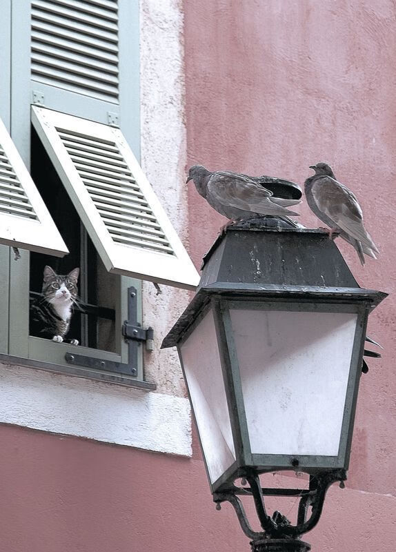 掘金全队三分手感火热命中率达五成,掘金队队史最高分