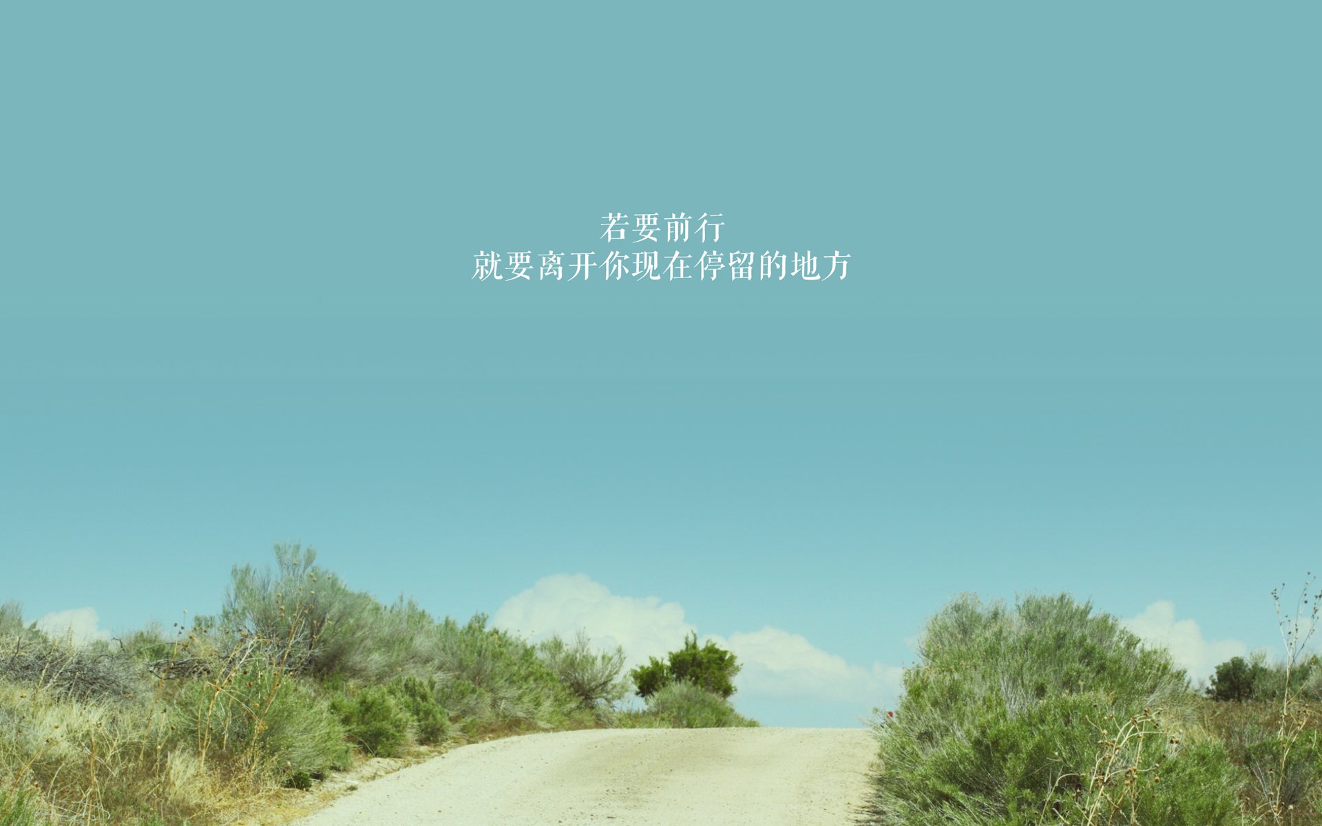 混合泳接力吉尔吉斯斯坦团队协作显著,吉尔吉斯斯坦游泳运动员