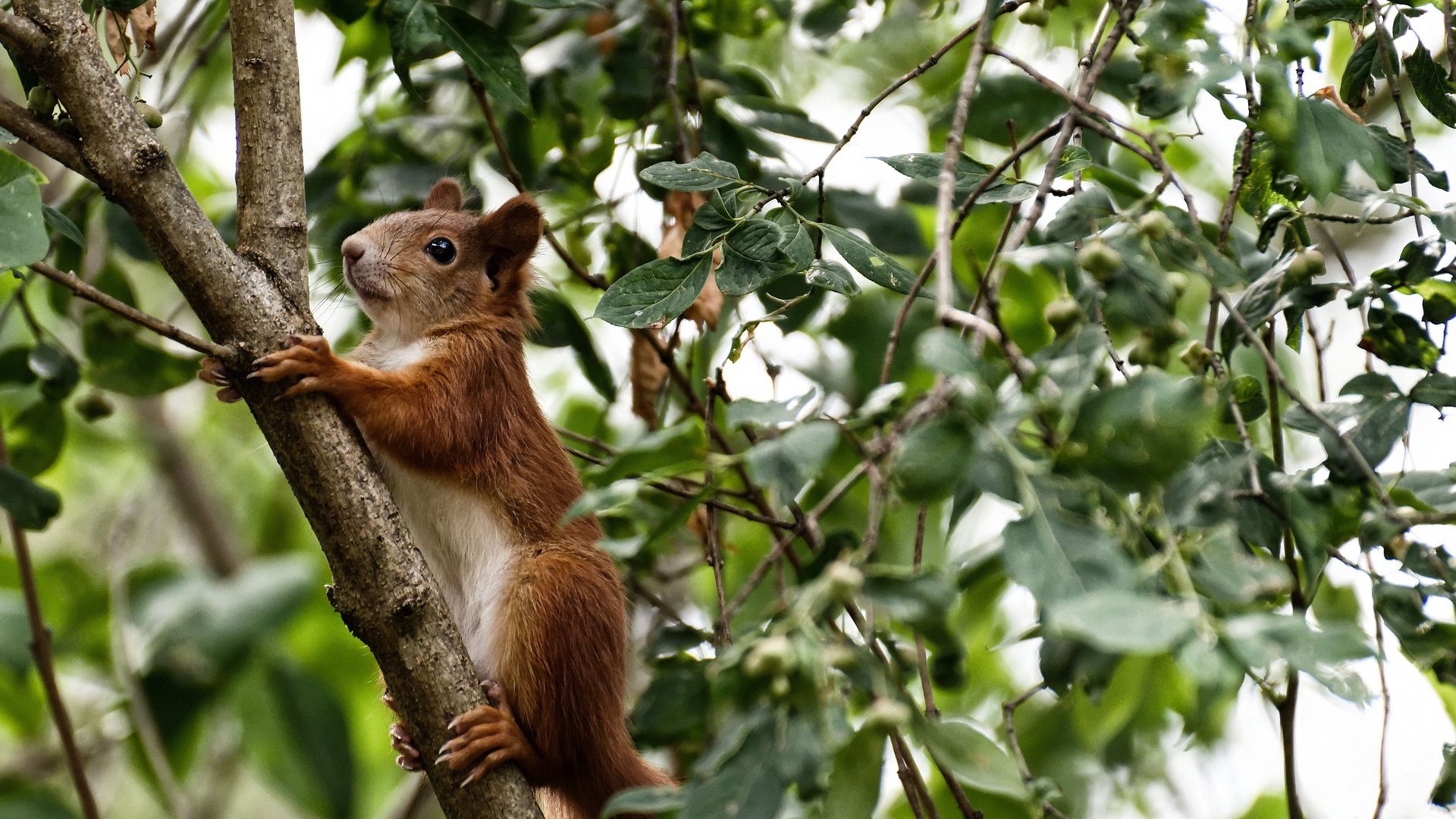 训练强度稳步推进科学节奏确保球员逐步进入比赛状态