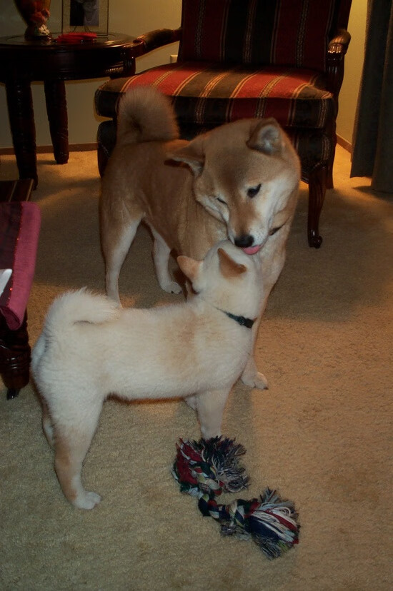 赛事背后组织团队默默付出确保每一环节有序推进